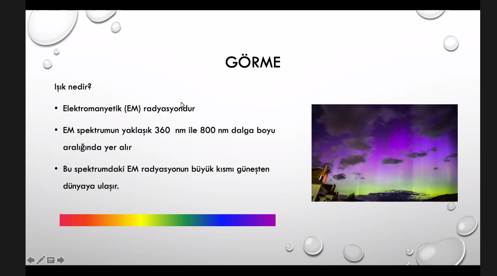 Üniversitemiz Sağlık Bilimleri Enstitüsü Konferansları “Göz ve Görme Sağlığı” Konu Başlığıyla Gerçekleştirildi-1