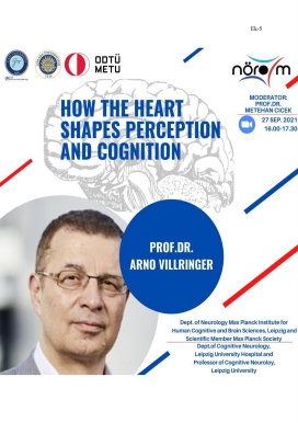 How the Heart Shapes Perception and Cognition