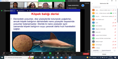 Eğitim Konferansları Serisi-13: Nano Teknoloji ve Kullanım Alanları