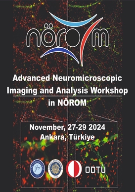 Advanced Neuoromicroscopic Imaging and Analysis Workshop in NÖROM