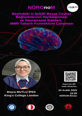 NÖROnoM: Beyindeki U-Şekilli Beyaz Cevher Bağlantılarının Haritalanması ve Davranışsal İlişkileri: dMRI Tabanlı Konnektom Çalışması