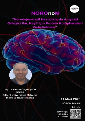 NÖROnoM "Nörodejeneratif Hastalıklarda Amyloid Önleyici İlaç  Keşfi İçin Protein Kütüphaneleri Geliştirilmesi"