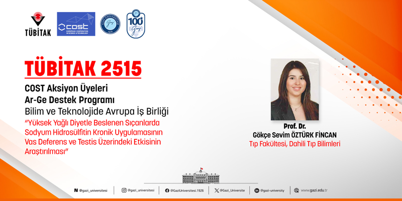 Akademisyenlerimizin Uluslararası Başarısı