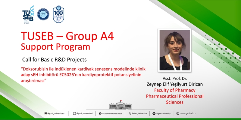 TUSEB A4 Project Led by Asst. Prof. Dr. Zeynep Elif Yeşilyurt Dirican Has Been Awarded Funding 