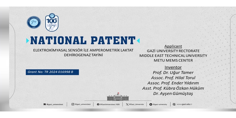 National Patent Registration (Application No. 2024/016998)
