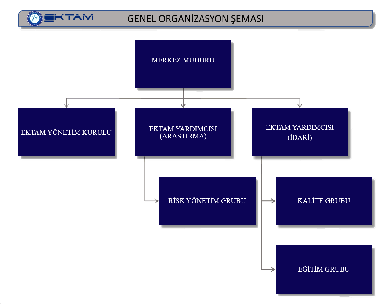 organizasyon şeması 1-1