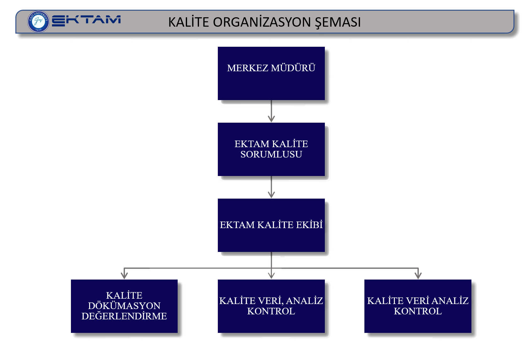 organizasyon şeması 2-1