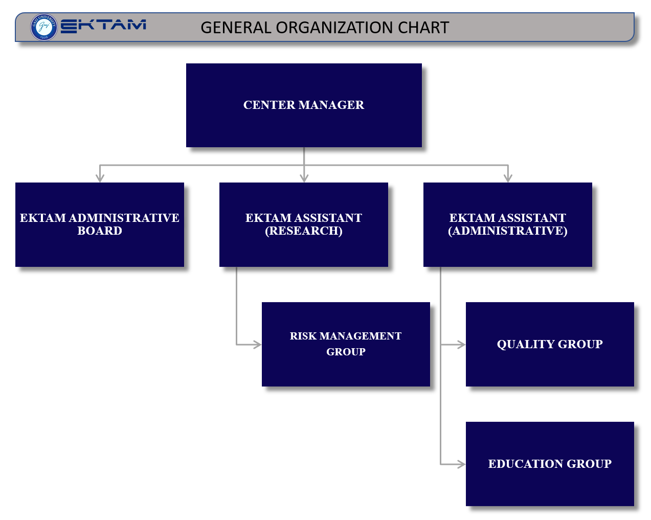 general organization chart-1