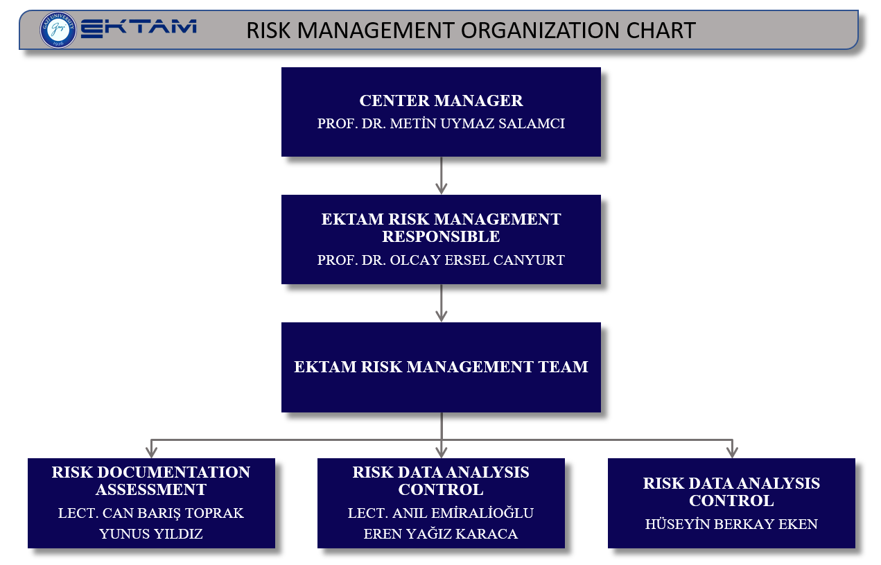 risk management organization chart-1