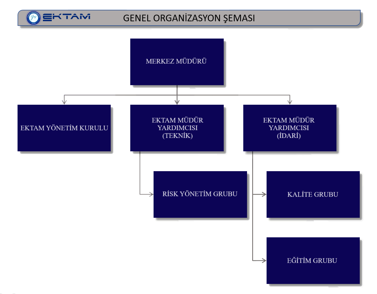 Genel Organizasyon Şeması-1