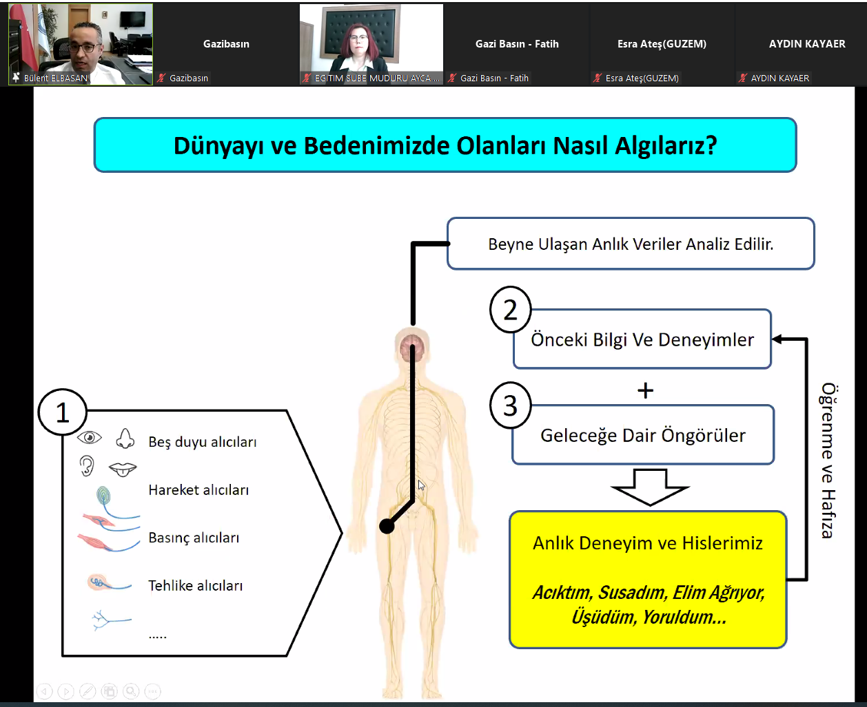 Ofis Çalışanları İçin Ergonomi 7-1