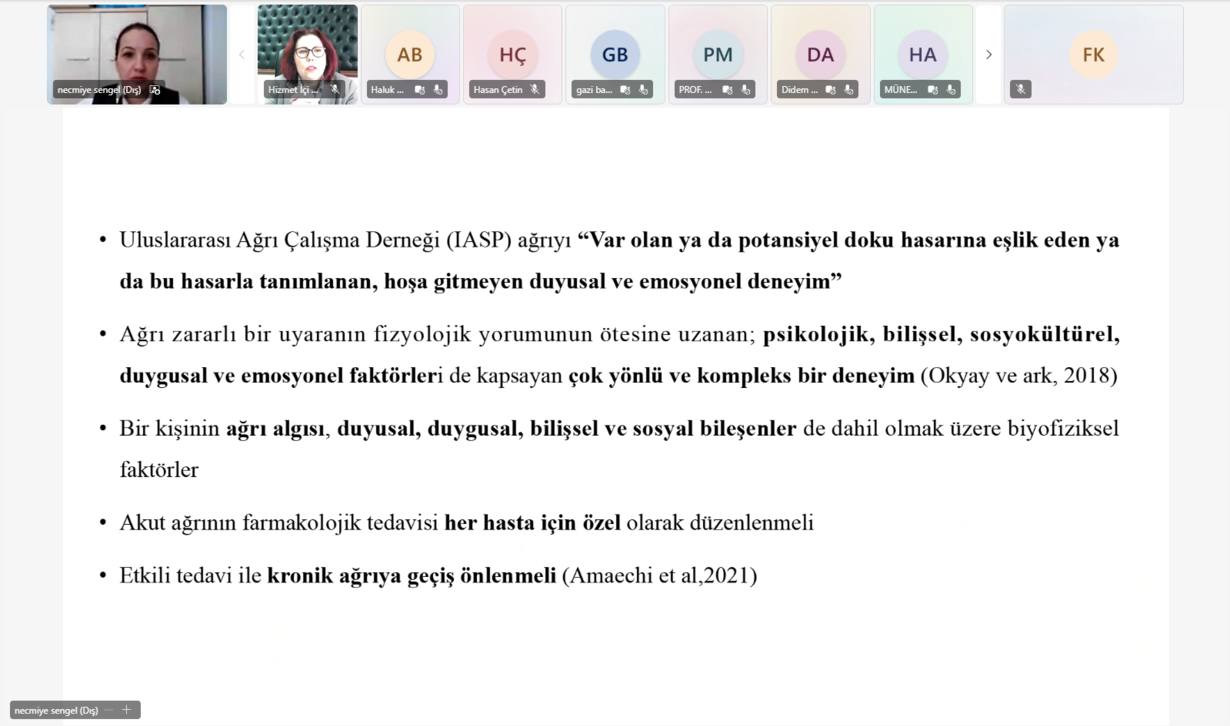 Ağrının Değerlendirilmesi ve Tedavisinde İşlenecek Yöntemler 2-1