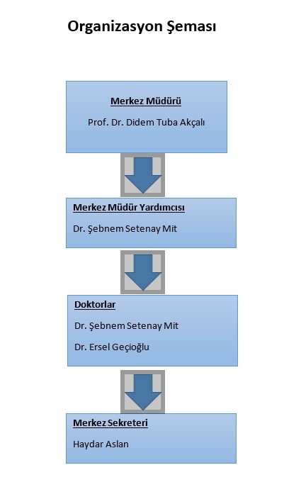 Organizasyon Şeması
