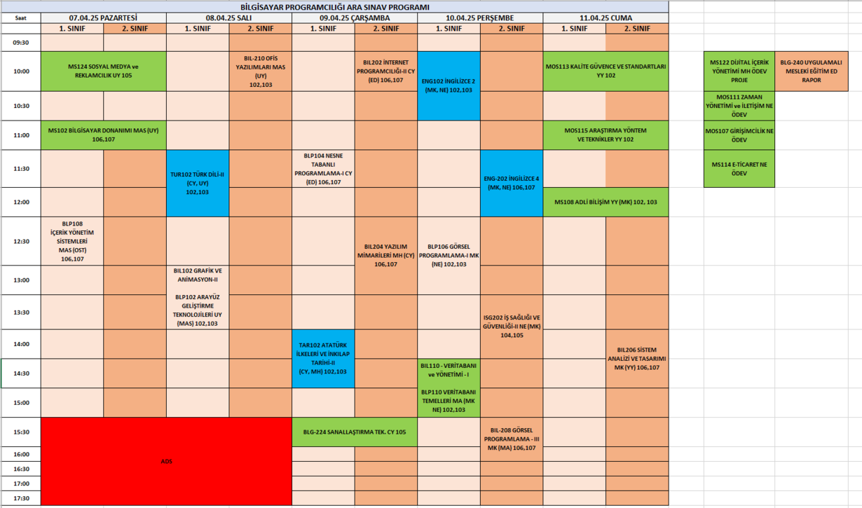 24-25-BAHAR_Vize_Program_BP