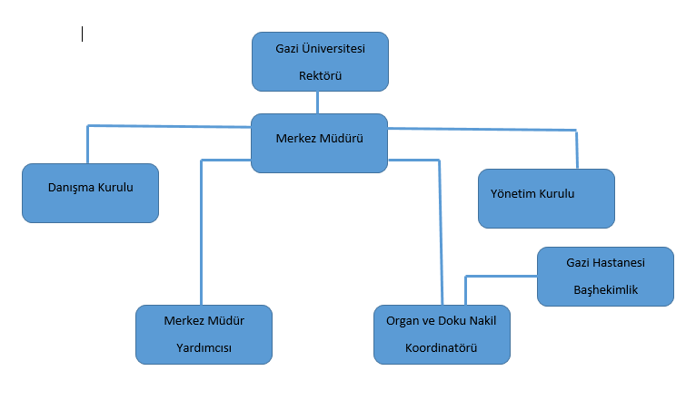 Organizasyon Şeması-1