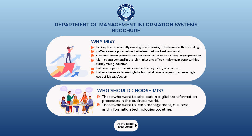 management-information-systems-brochure