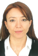 AssocProfDr Esra Yiğit Gökpınar