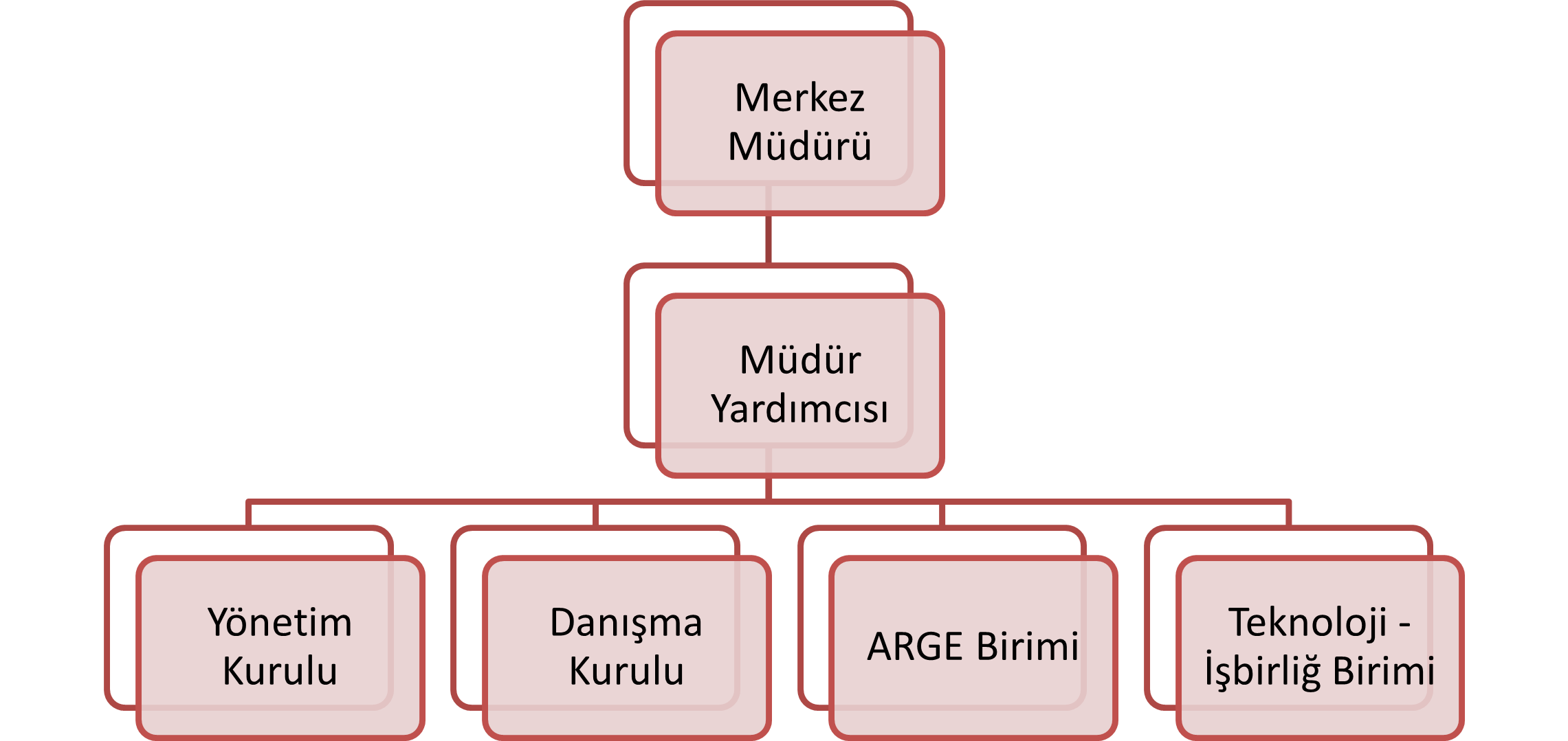 organizasyon şeması-1