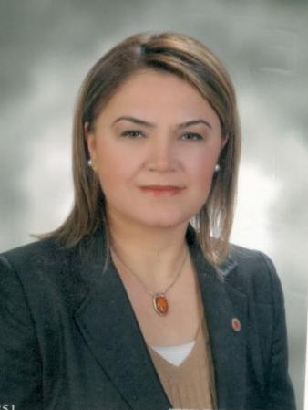 ProfDr Elif  LOĞOĞLU