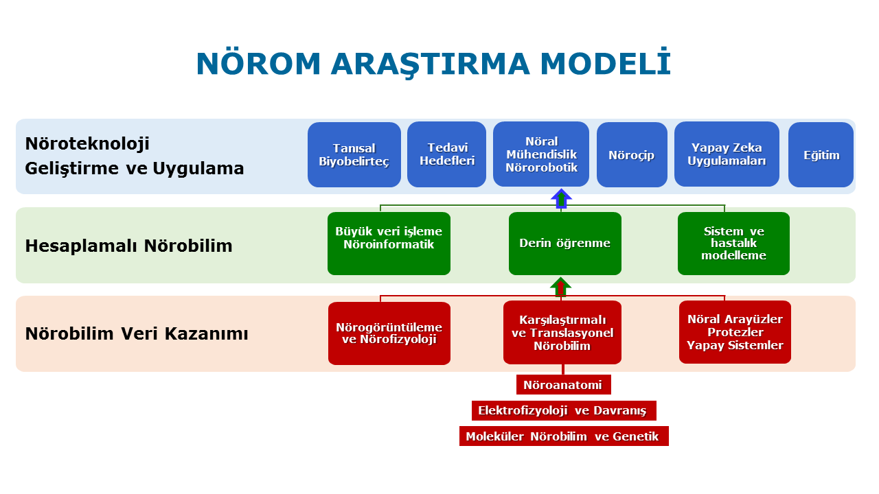 Strateji ve Bütçe Başkanlığı 2019K12-149088 NÖROM Projesi-1