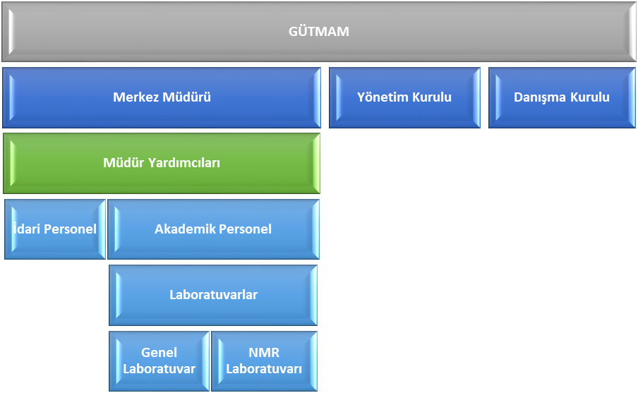 org şeması-1
