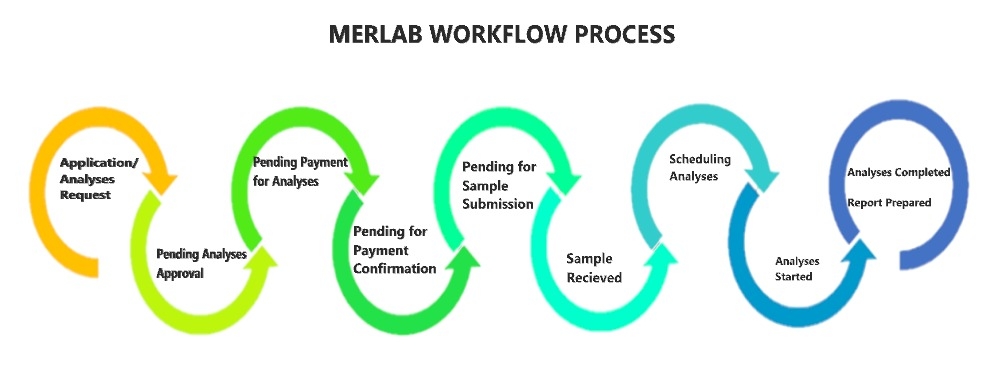 merlabprocess-1