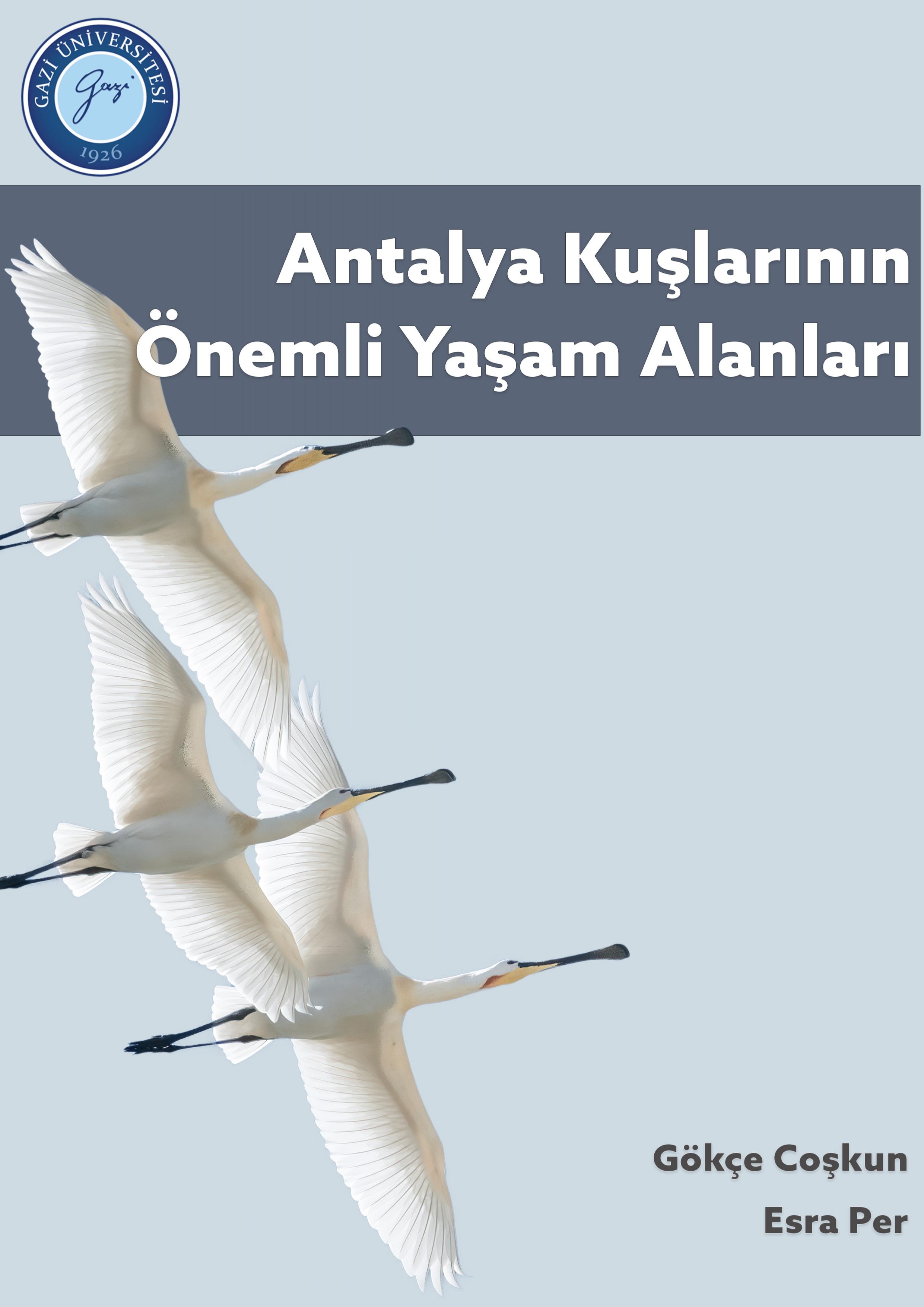 Antalya kuşlarının önemli yaşam alanları-1