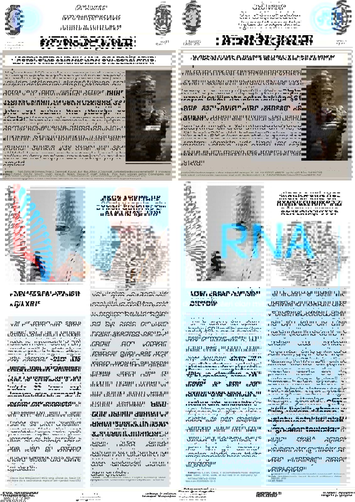 E-Bülten_31-1