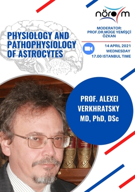 Physiology and Pathology of Astrocytes