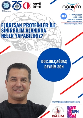Seminar -  What can we do in the field of neuroscience with fluorescent proteins?