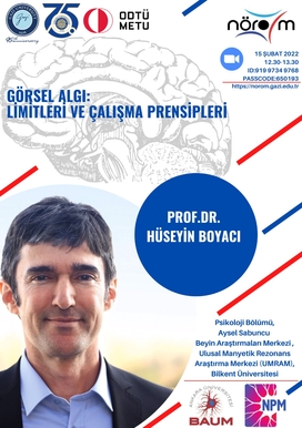 Visual Perception: Limits and Working Principles
