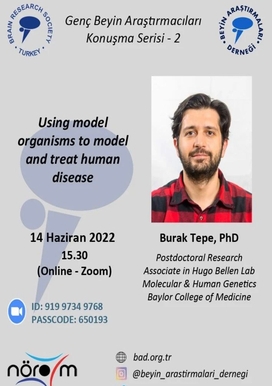 Using model organisms to model and treat human disease