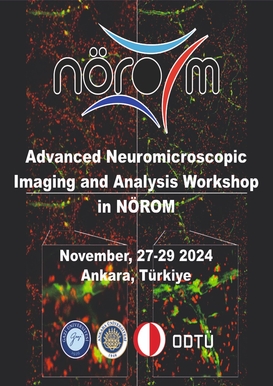 Advanced Neuromicroscopic Imaging and Analysis Workshop in NÖROM