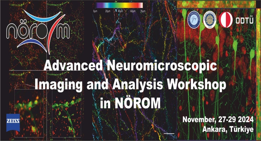 Advanced Neuromicroscopic Imaging and Analysis Workshop in NÖROM