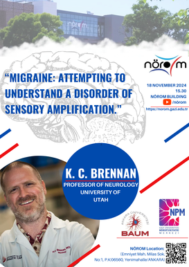 Migraine: Attempting to Understand a Disorder of Sensory Amplification