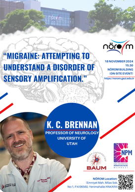 Migraine: Attempting to Understand a Disorder of Sensory Amplification