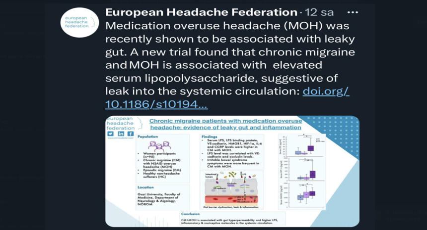Lipopolysaccharide, VE-cadherin, HMGB1, and HIF-1α levels are elevated in the systemic circulation in chronic migraine patients with medication overuse headache: evidence of leaky gut and inflammation