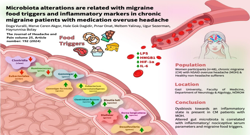  Microbiota alterations are related to migraine  food triggers and inflammatory markers  in chronic migraine patients with medication  overuse headache