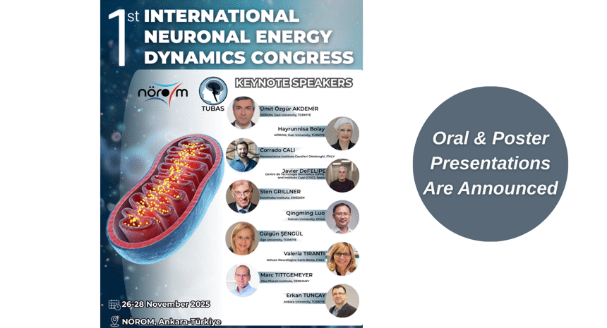 Oral & Poster Presentations