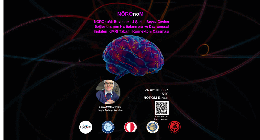 NÖROnoM: Beyindeki U-Şekilli Beyaz Cevher Bağlantılarının Haritalanması ve Davranışsal İlişkileri: dMRI Tabanlı Konnektom Çalışması