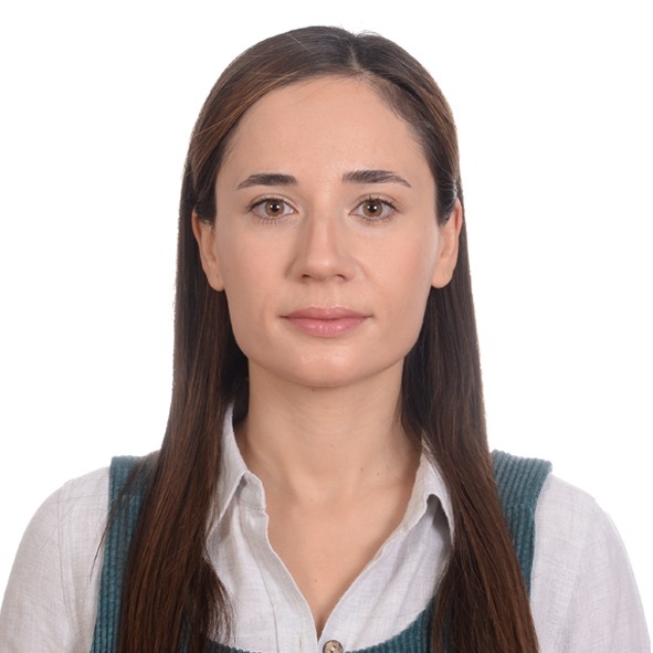 DCbuyuktaskin