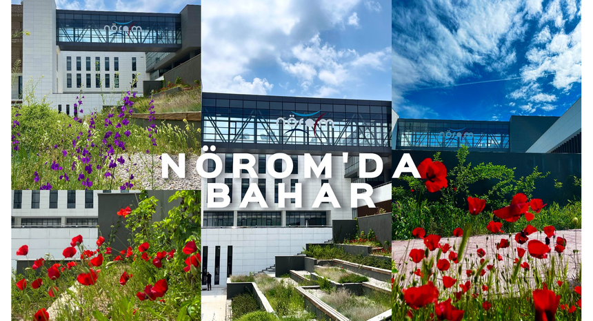 NÖROM'da Bahar...