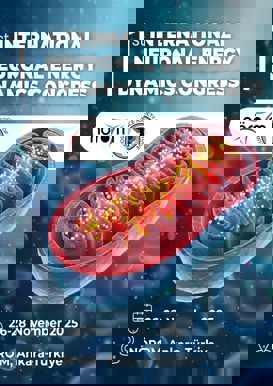 Congress