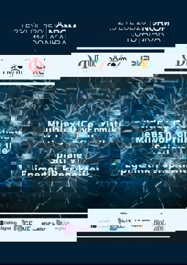 Multiplex Ihc ve Enzimatik Metilasyon Profilleme ile Spatial ve Epigenetik Perspektifler
