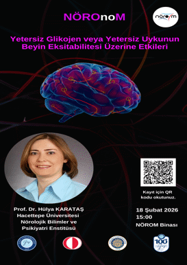 NÖROnoM: Yetersiz Glikojen veya Yetersiz Uykunun Beyin Eksitabilitesi Üzerine Etkileri