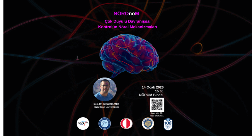 NÖROnoM: Çok Duyulu Davranışsal Kontrolün Nöral Mekanizmaları