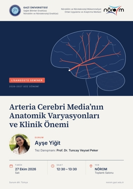 Arteria Cerebri Media'nın Anatomik Varyasyonları ve Klinik Önemi