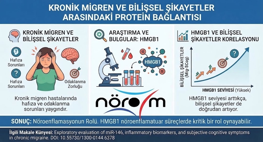 Nörom Araştırmacıları Kronik Migren ve Bilişsel Şikayetler Arasındaki Protein Bağlantısını Keşfetti