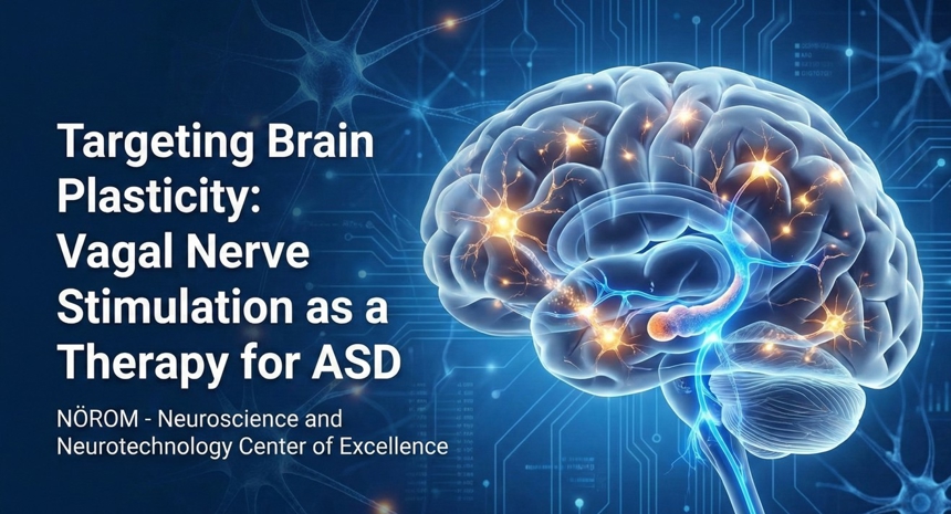 Targeting Brain Plasticity: Vagal Nerve Stimulation as a Therapy for Autism Like Symptoms in a Valproic Acid Mouse Model