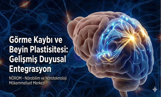 Görme Kaybı ve Beyin Plastisitesi: Gelişmiş Duyusal Entegrasyon